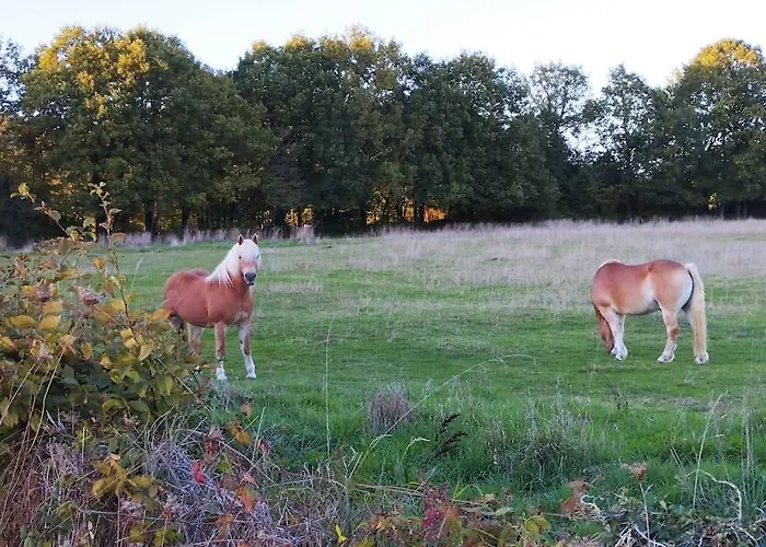 Vakantiehuis Le De Montplaisir *